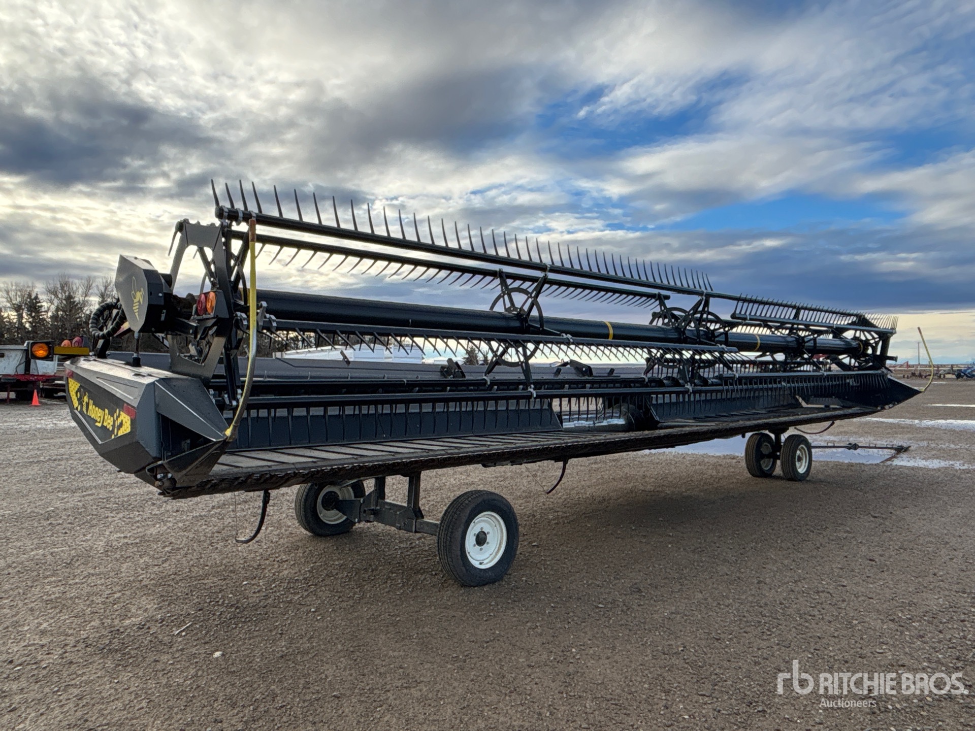 General Appearance with Zdjęcie, prawy górny róg