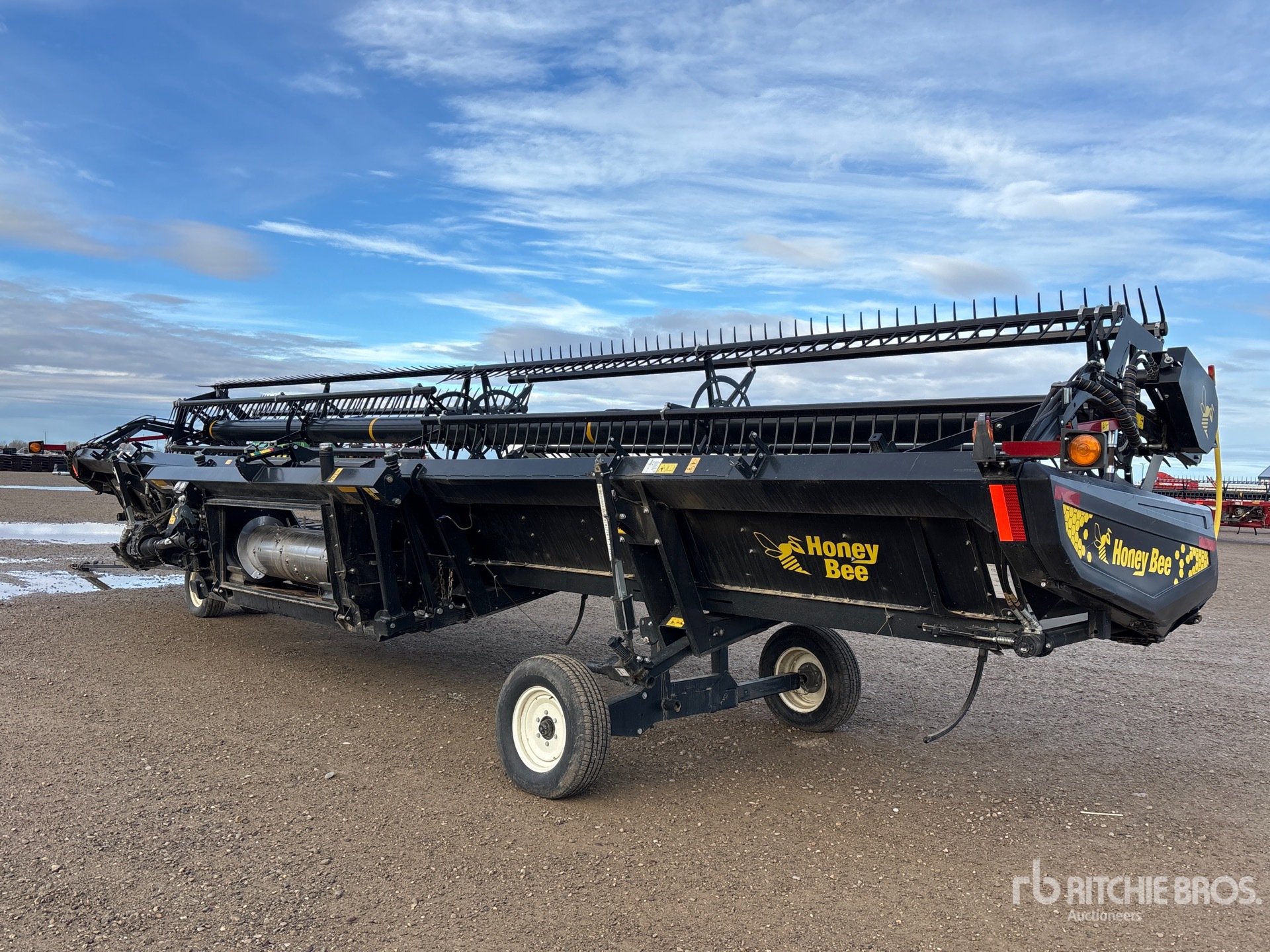 General Appearance with Zdjęcie, prawy dolny róg