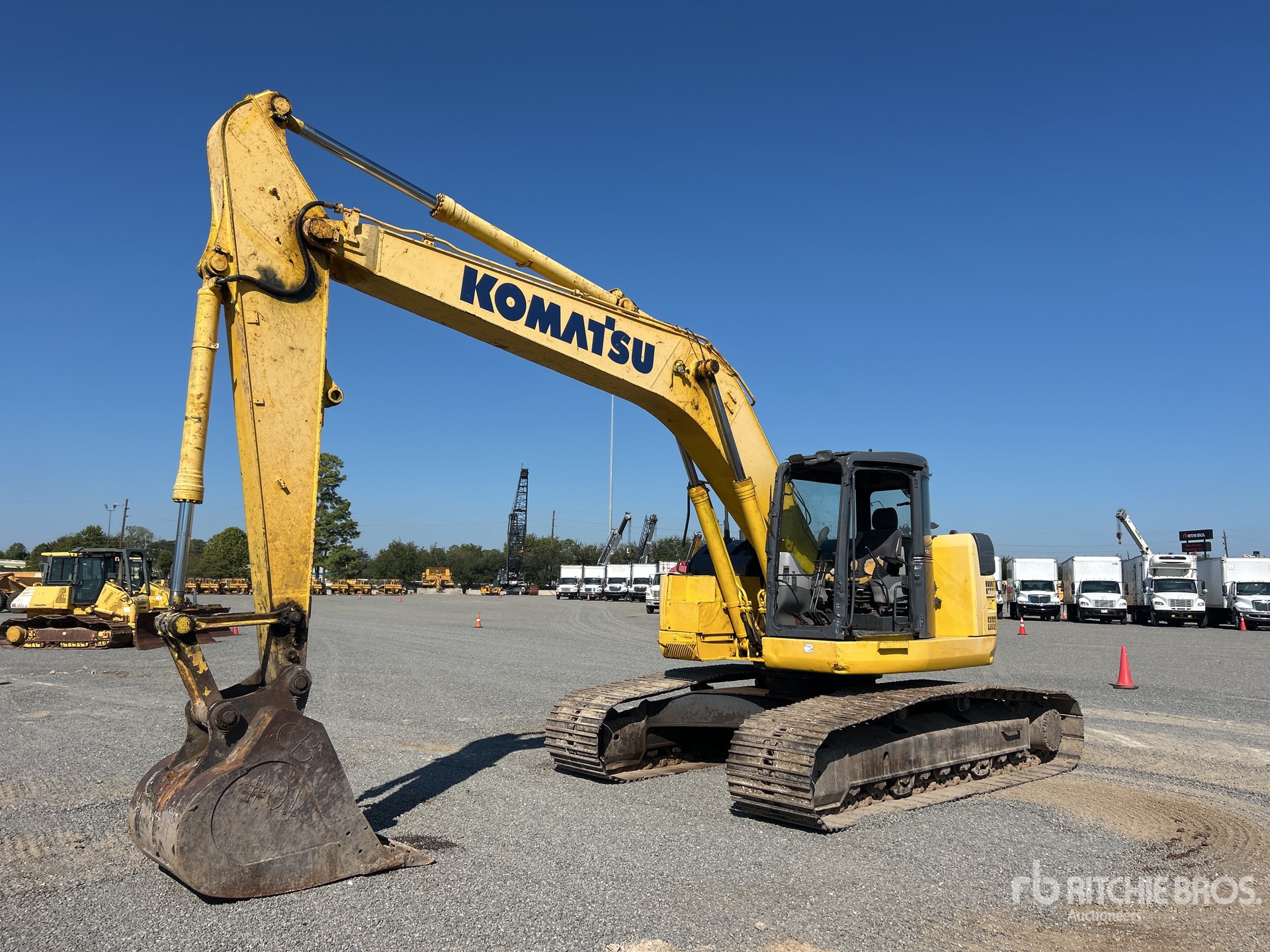 General Appearance with Spin