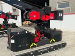 General Appearance with Paint