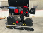 General Appearance with Paint