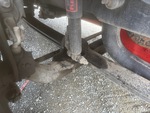 4 Underbody - Truck with 