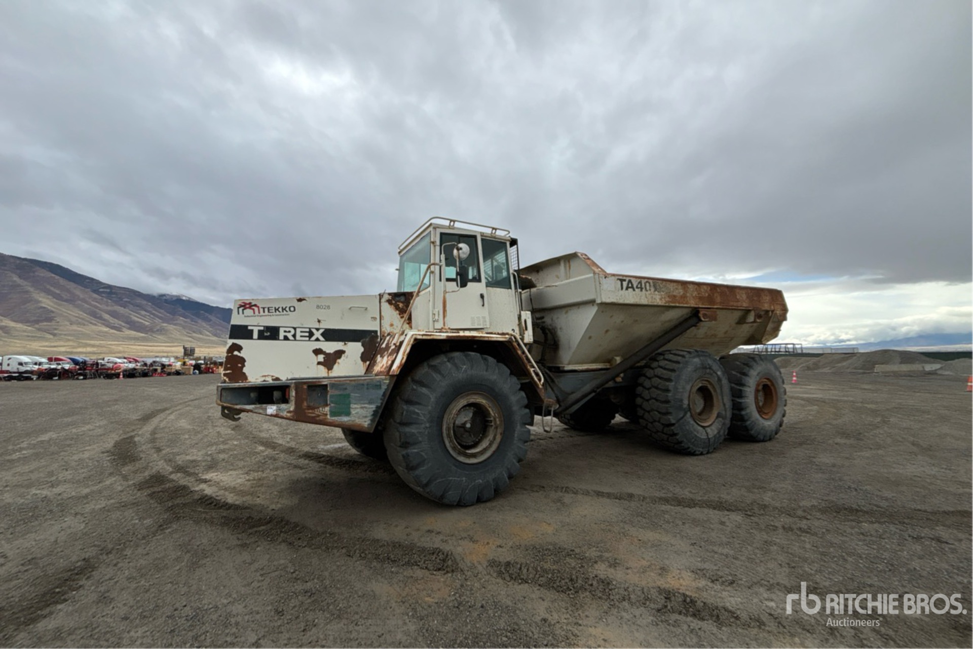 General Appearance with Spin