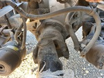 Drivetrain with 