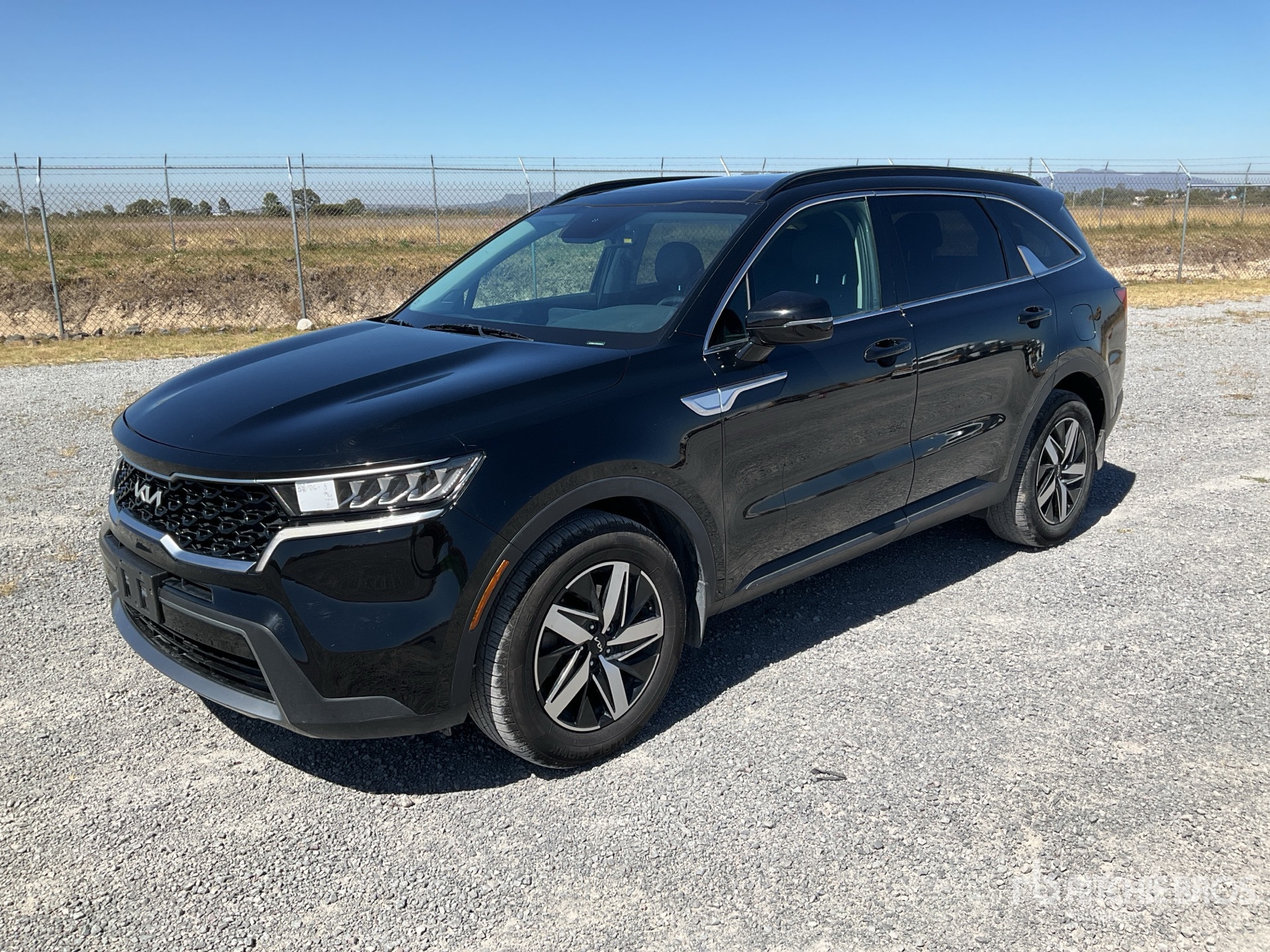 General Appearance with Spin