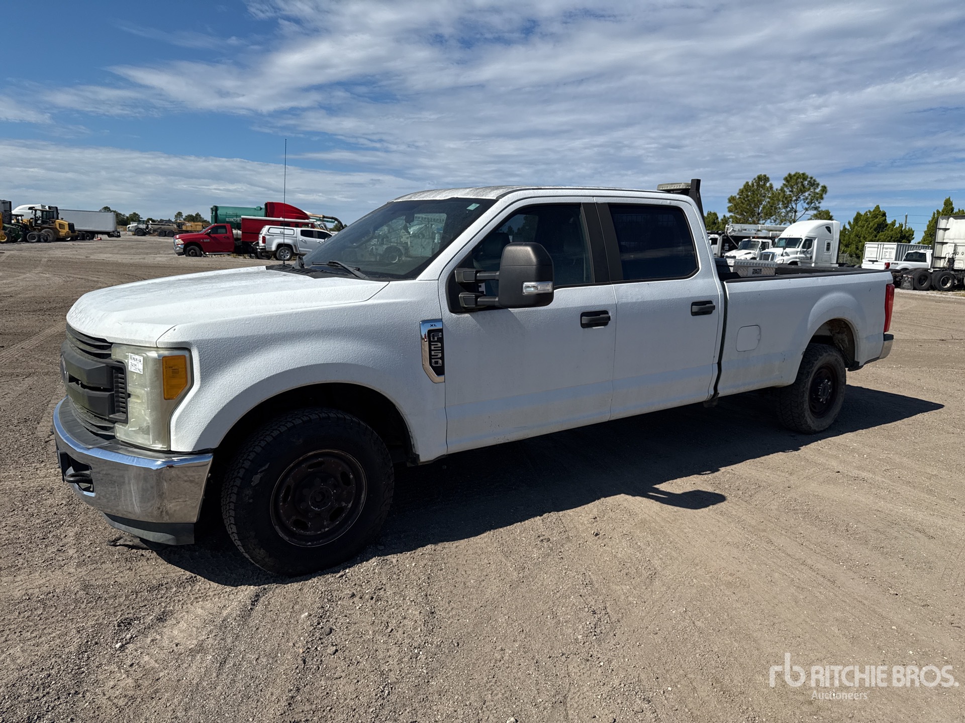 General Appearance with Spin