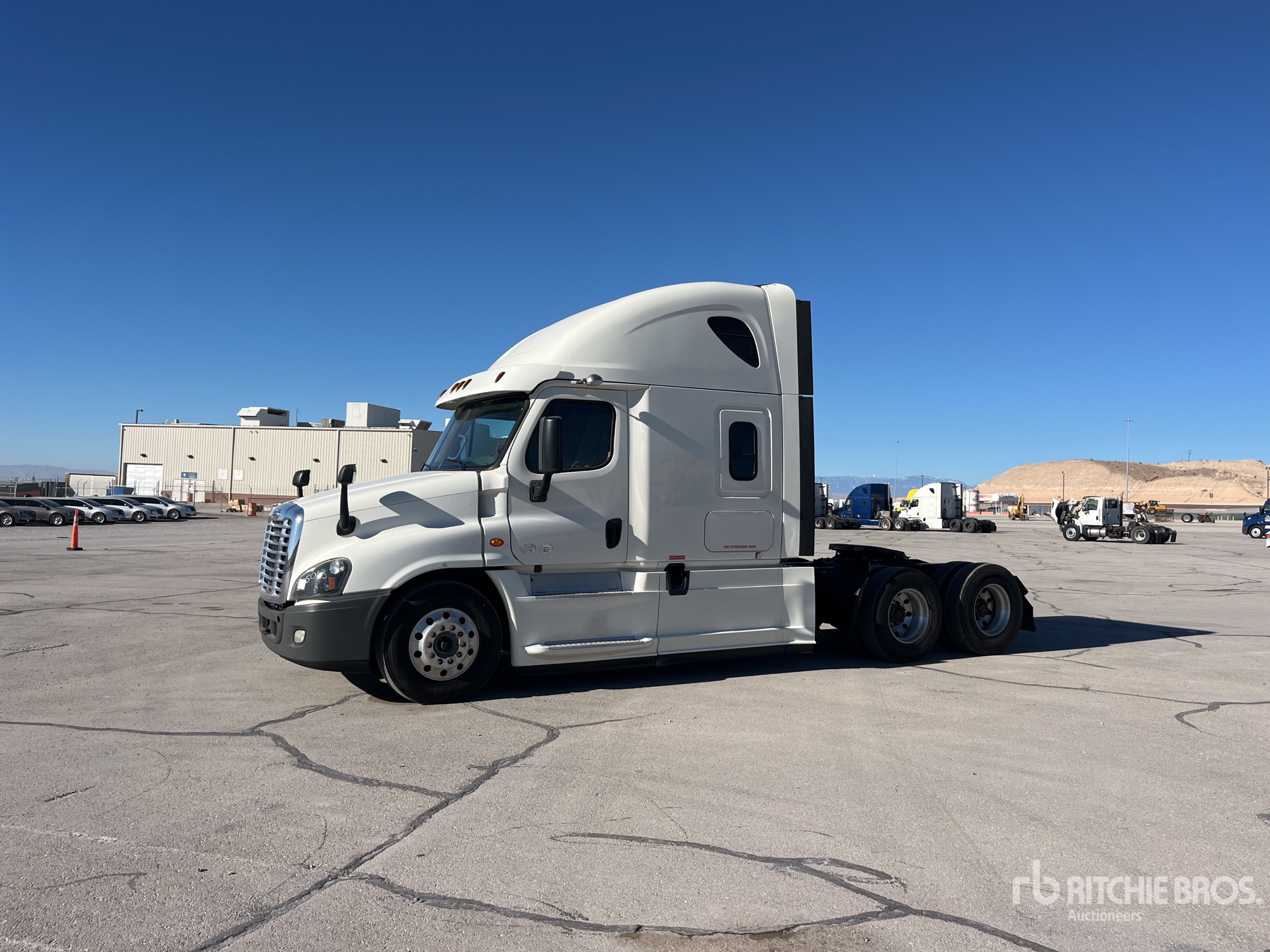 General Appearance with Spin