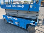 General Appearance with Paint