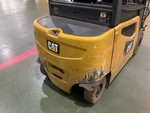 General Appearance with Paint