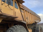 General Appearance with Paint