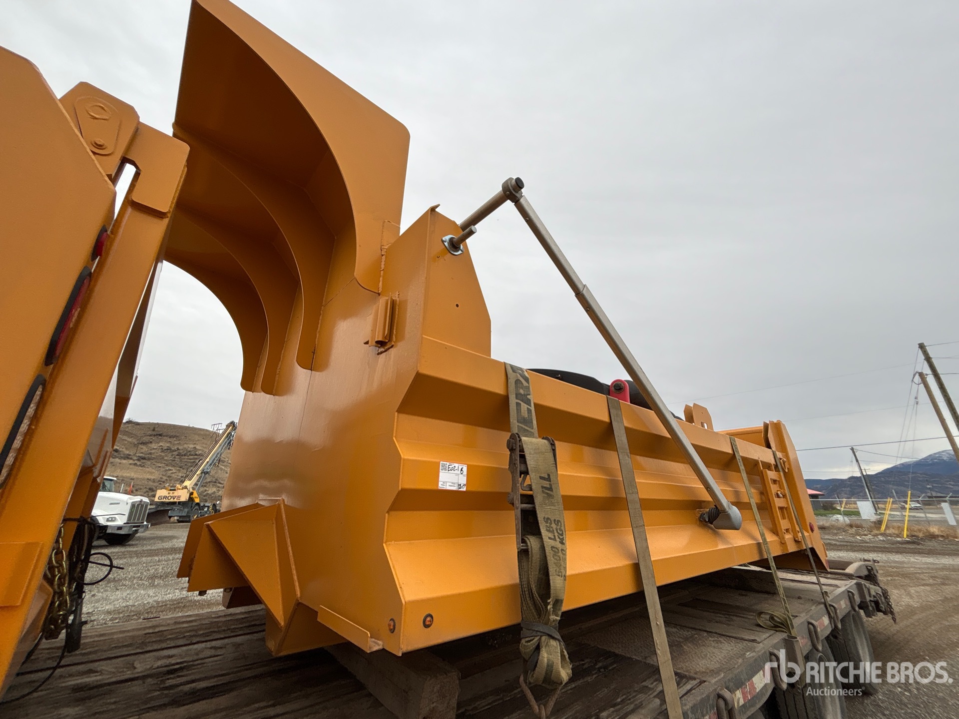 General Appearance with Featured Photo