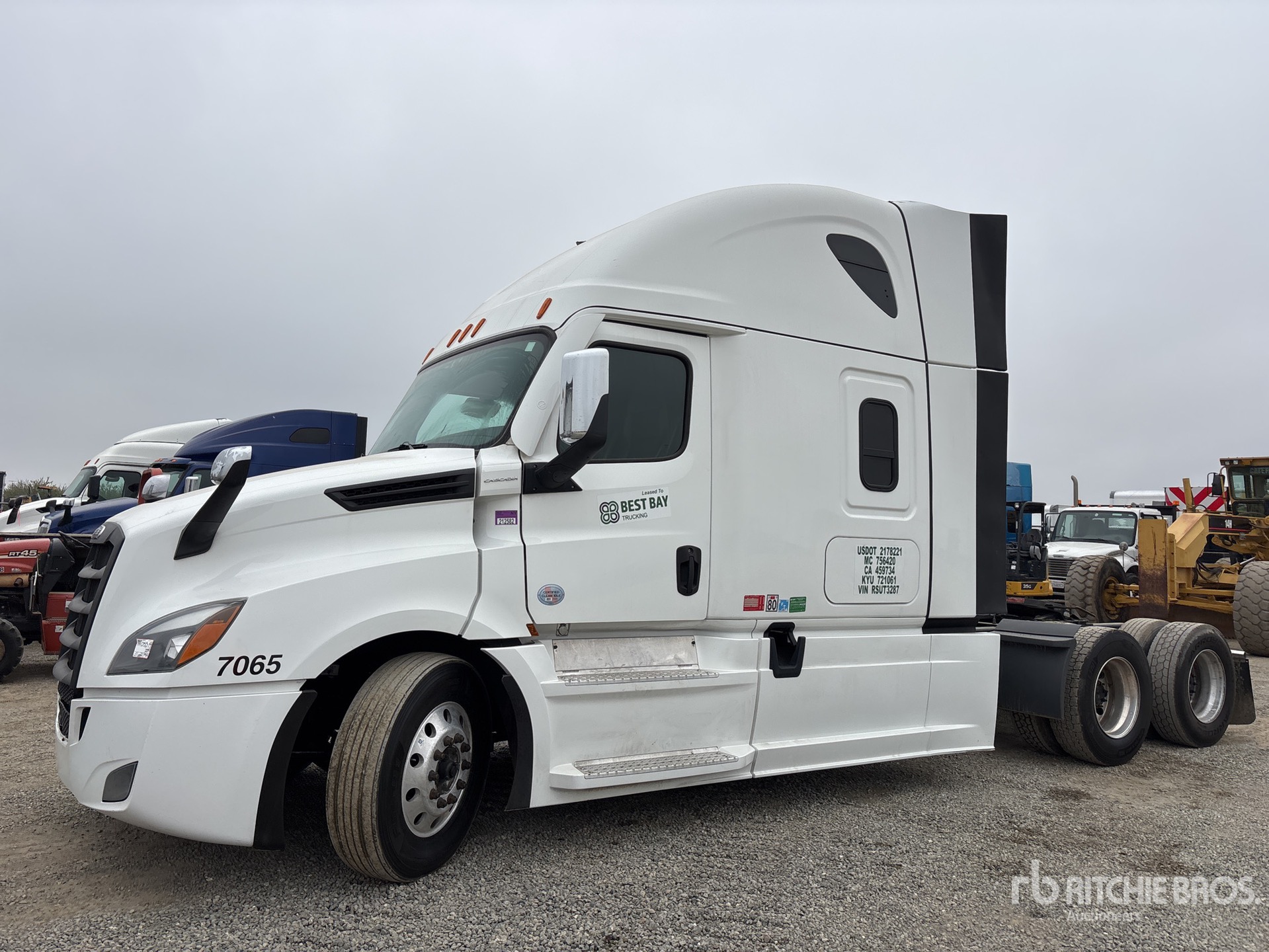 General Appearance with Spin