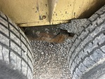 Trailer Chassis with 