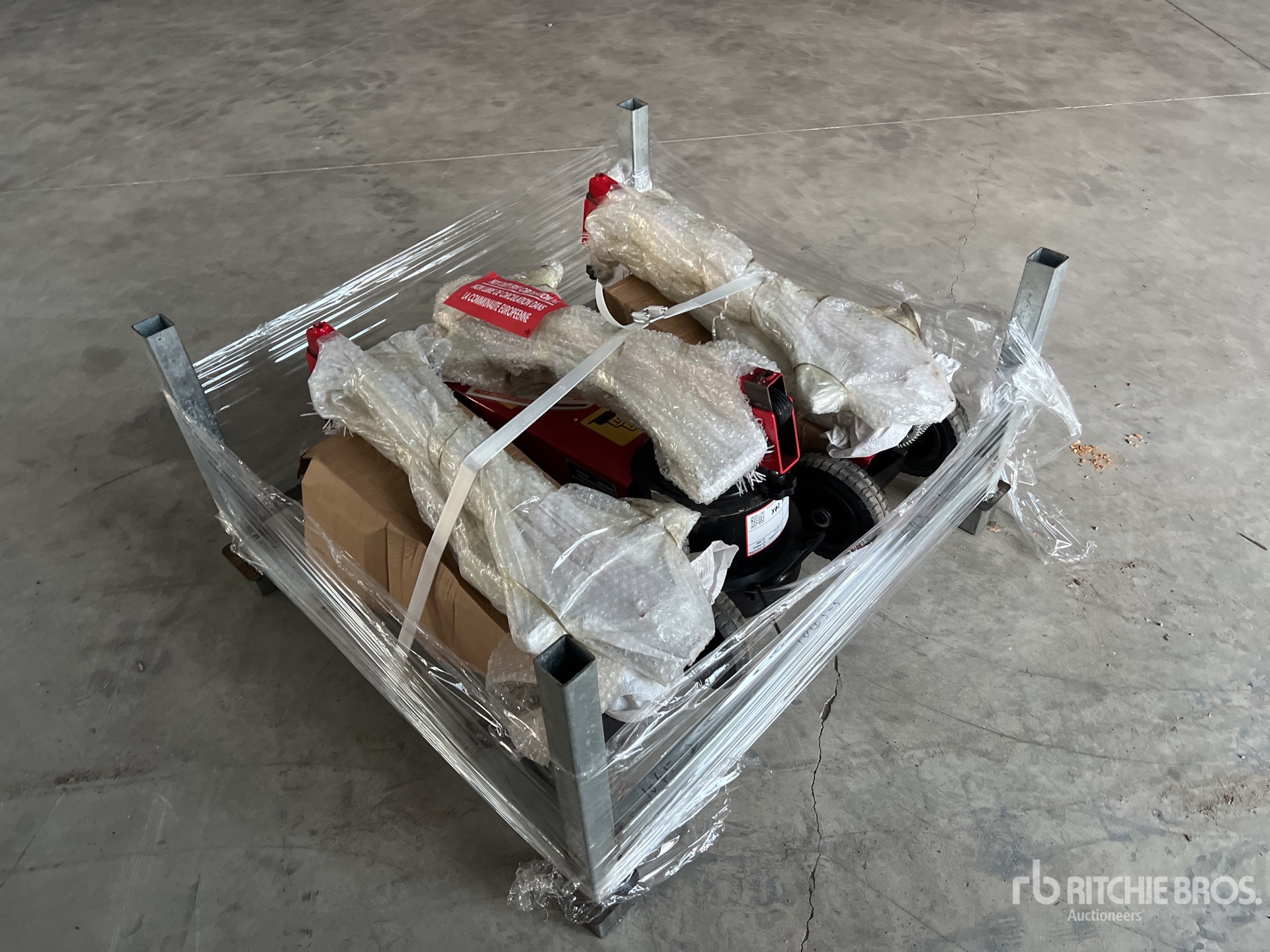 General Appearance with 