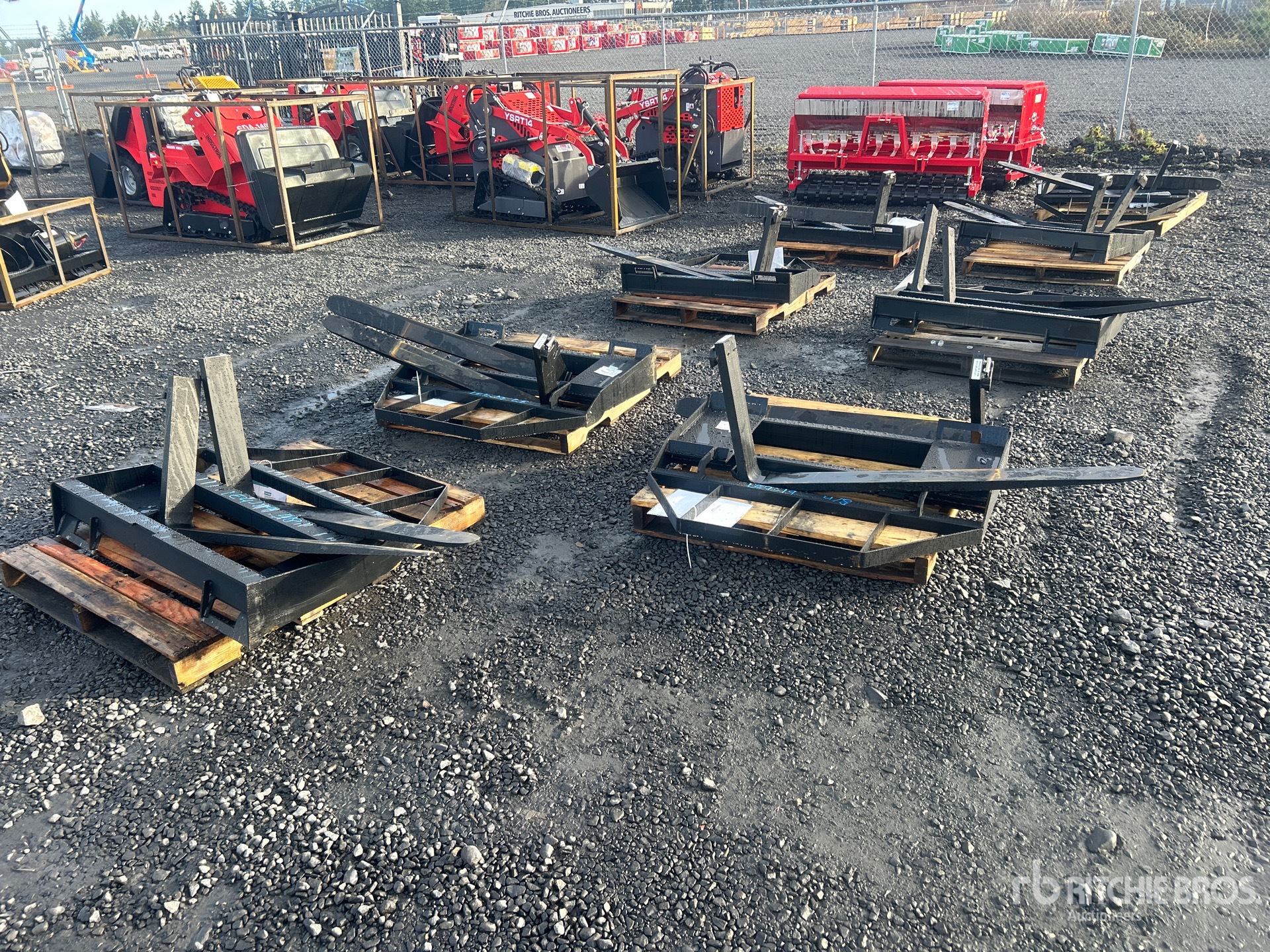 General Appearance with Zdjęcie, lewy dolny róg