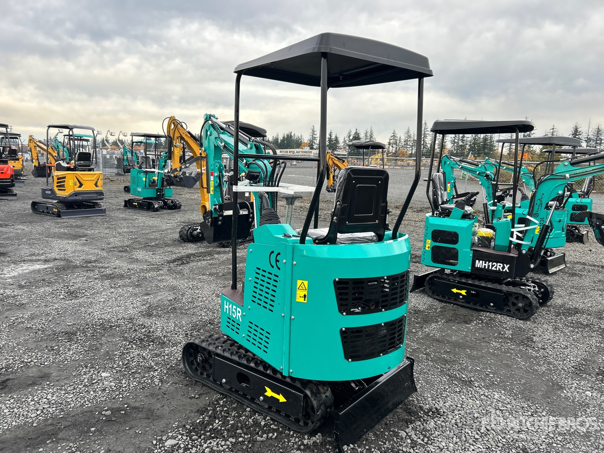 General Appearance with Picture, Left Rear Corner