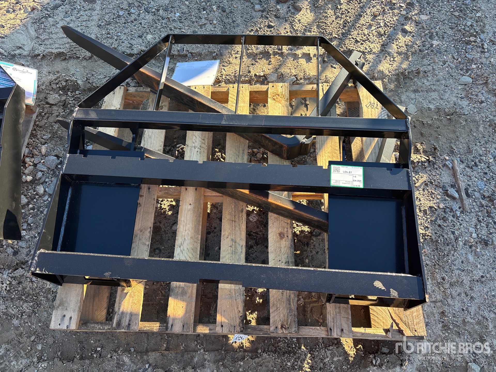 General Appearance with 