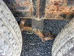Chassis with 