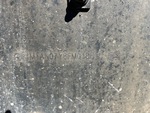 General Appearance with Second Serial Number/VIN Photo