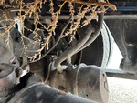 Brakes with 