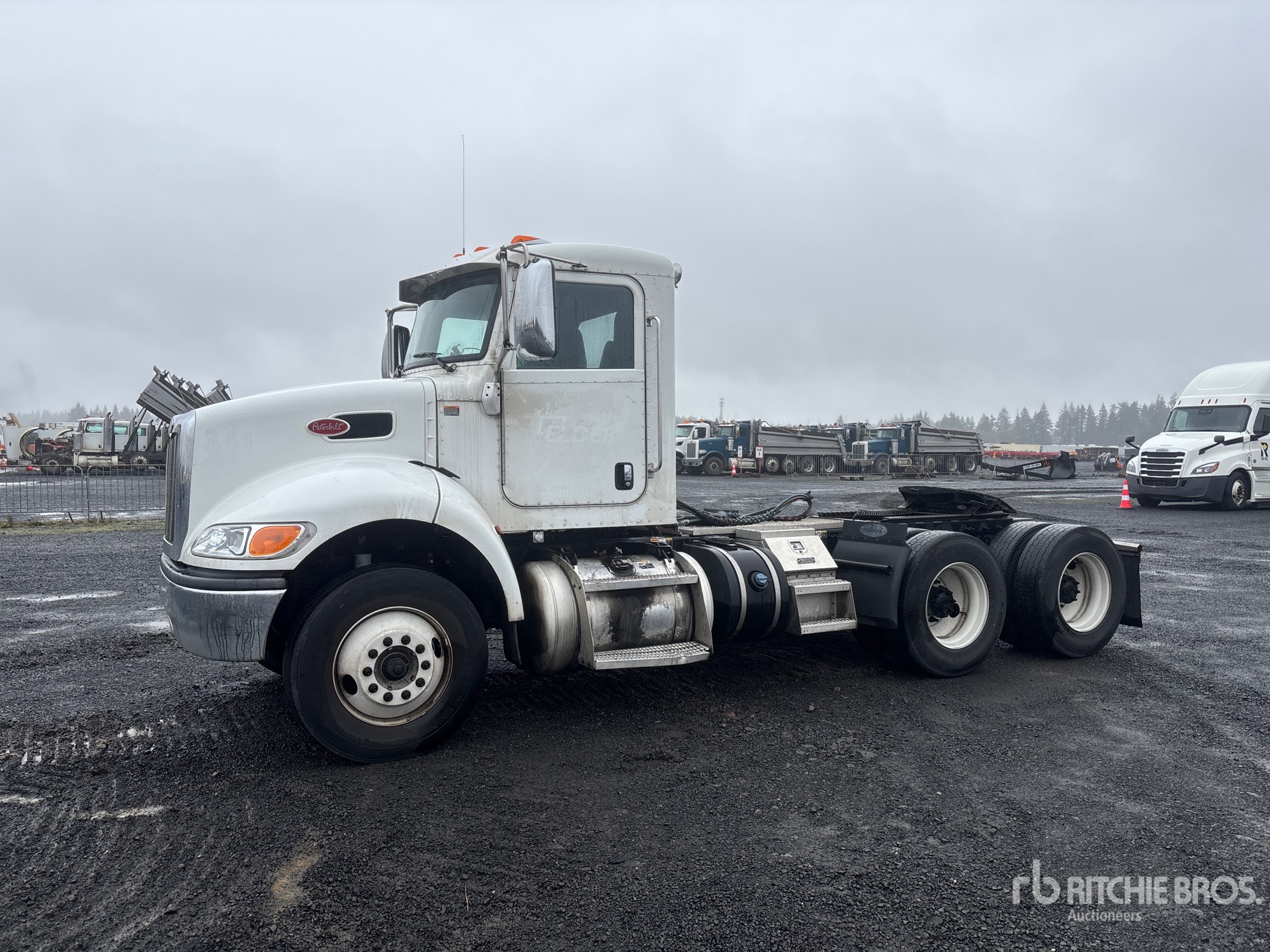 General Appearance with Spin