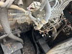 Motore with