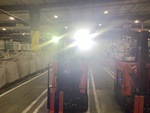 General Appearance with Exterior Lights