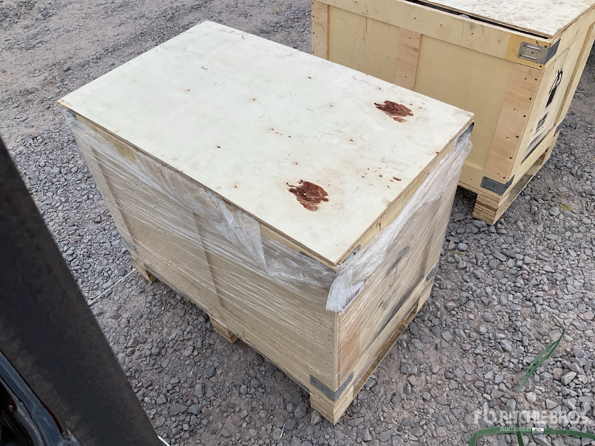 General Appearance with Zdjęcie, lewy dolny róg