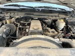 Motore with 