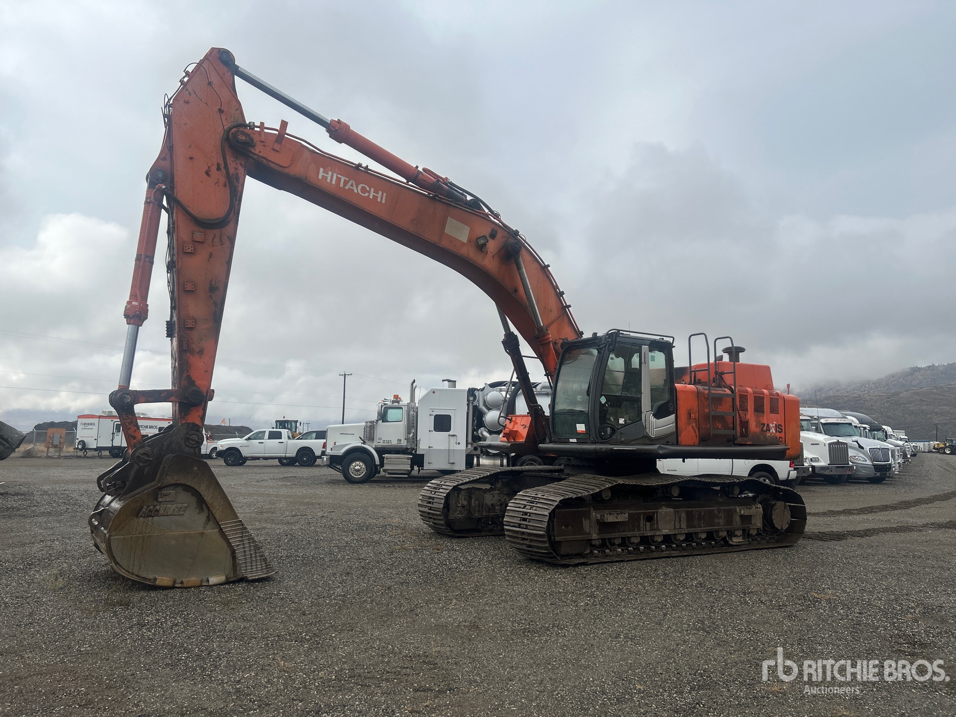 General Appearance with Spin