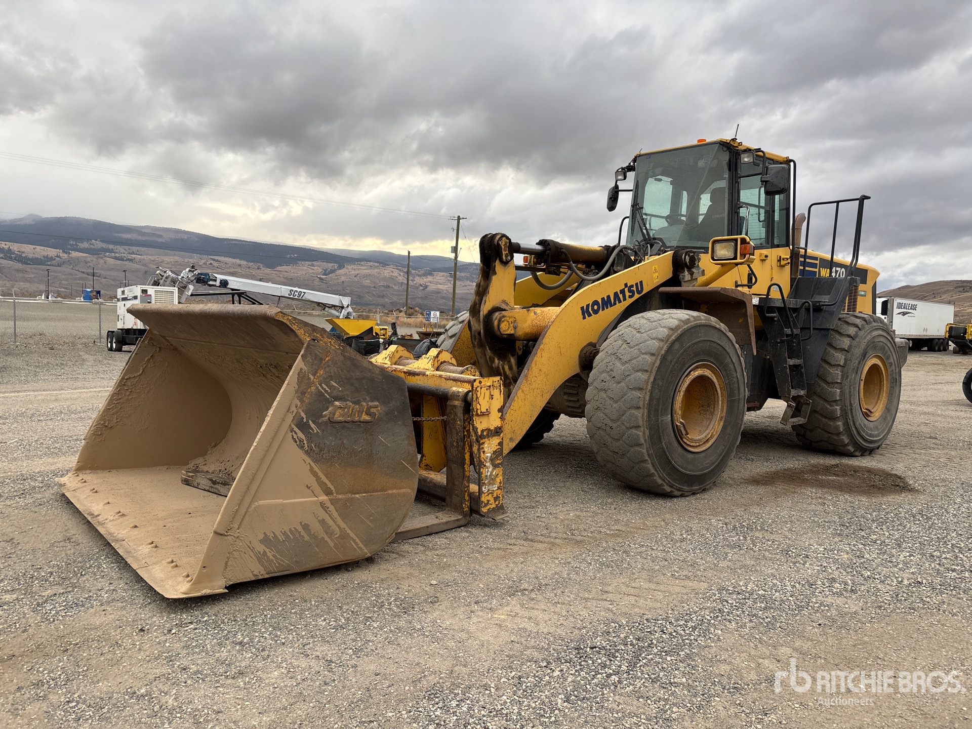 General Appearance with Spin