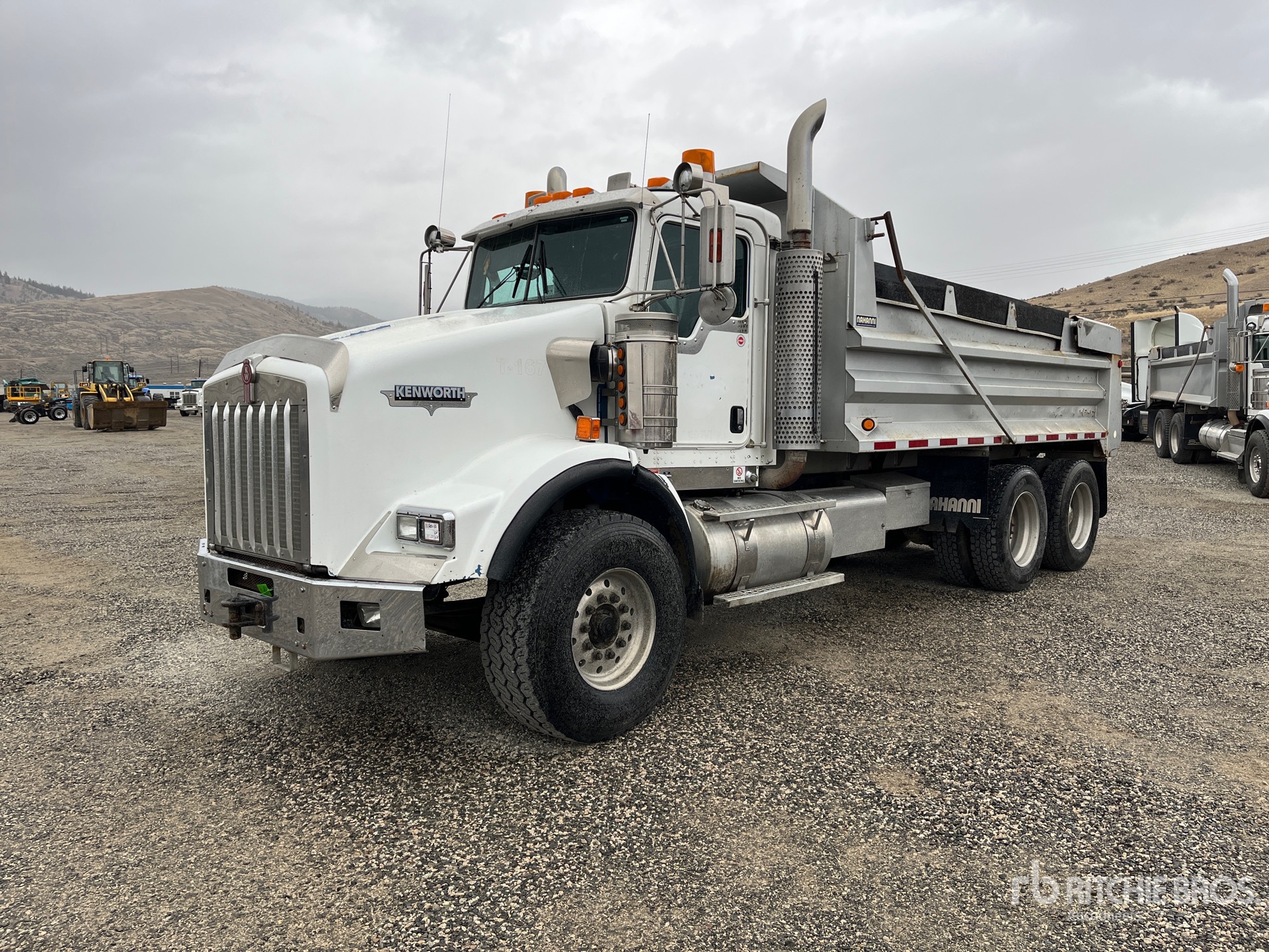 General Appearance with Spin