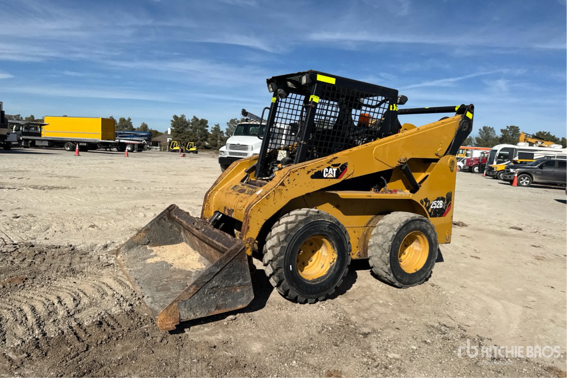 General Appearance with Spin