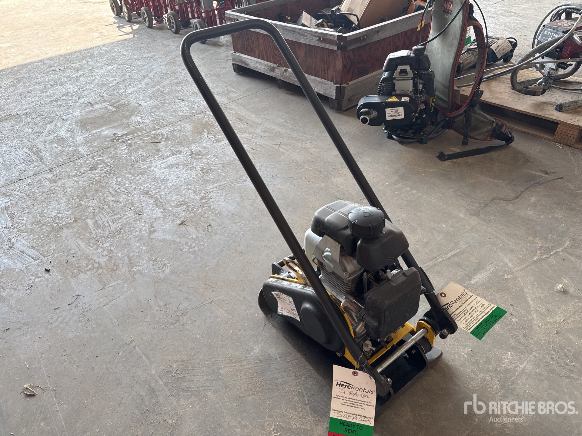 General Appearance with Bild, Ecke hinten links