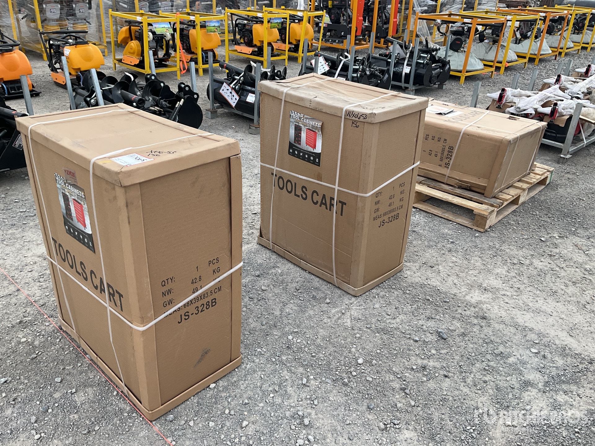 General Appearance with 