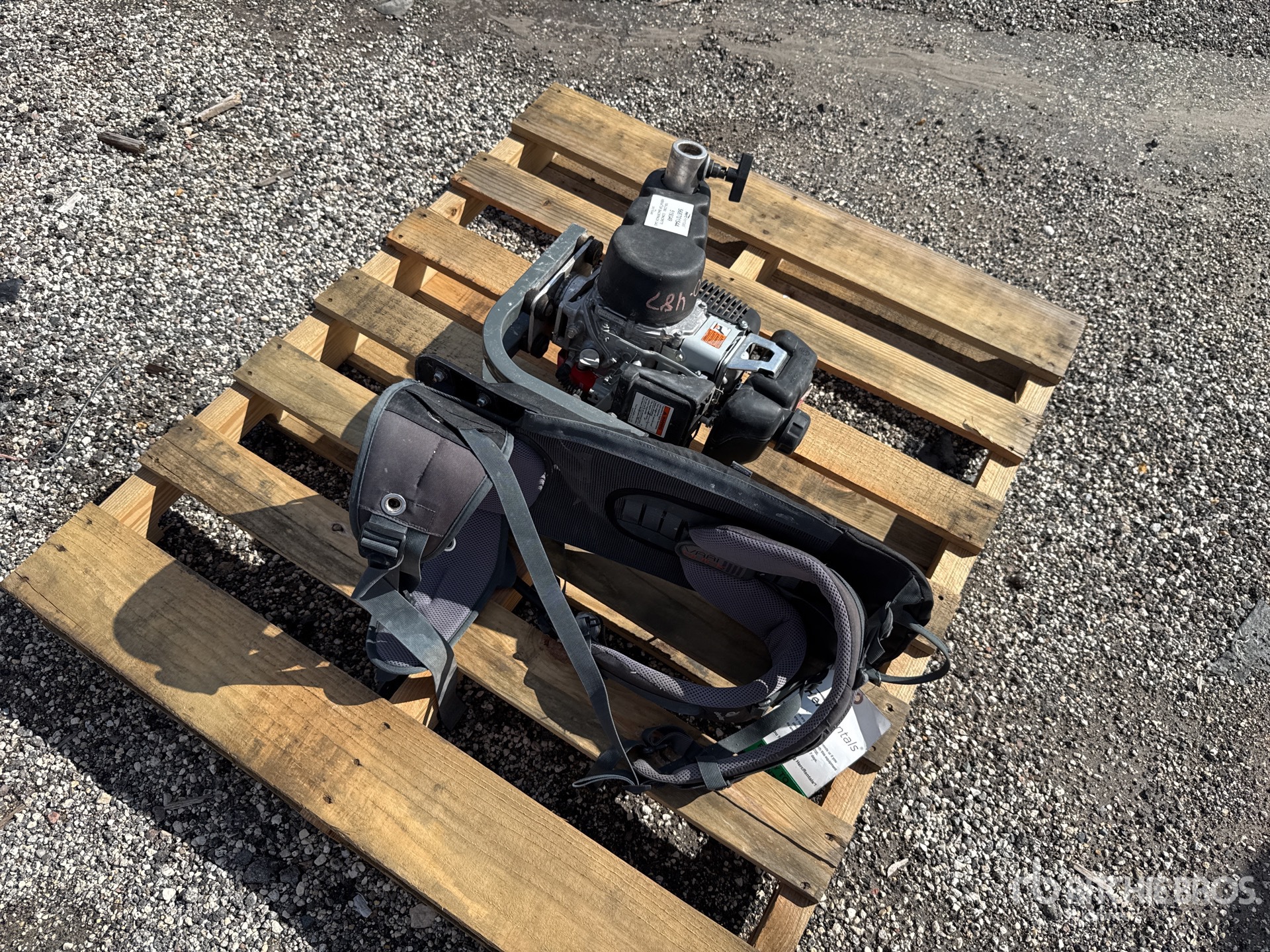 General Appearance with Image, coin arrière droit