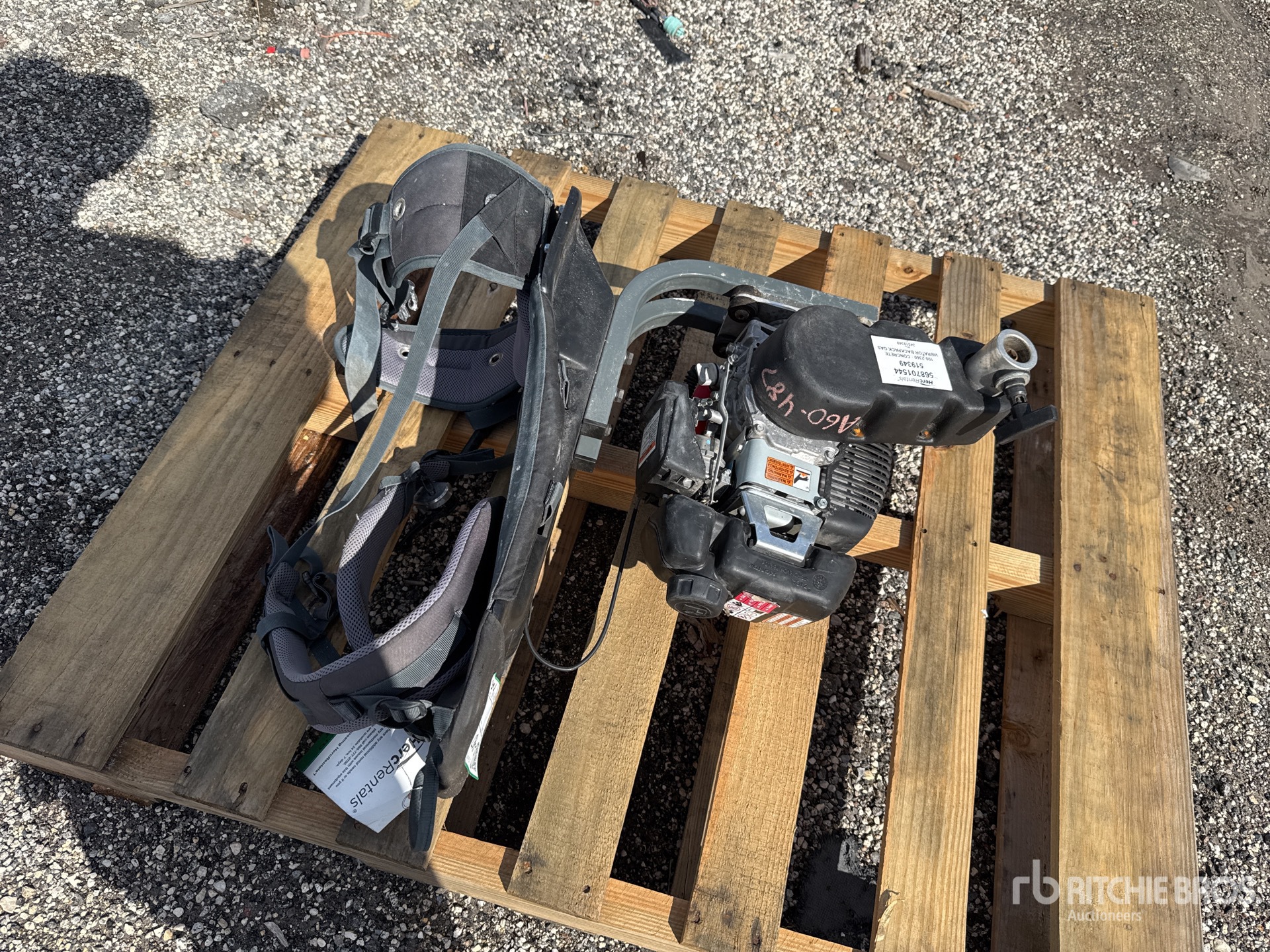 General Appearance with Image, coin avant droit