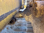 Undercarriage with 
