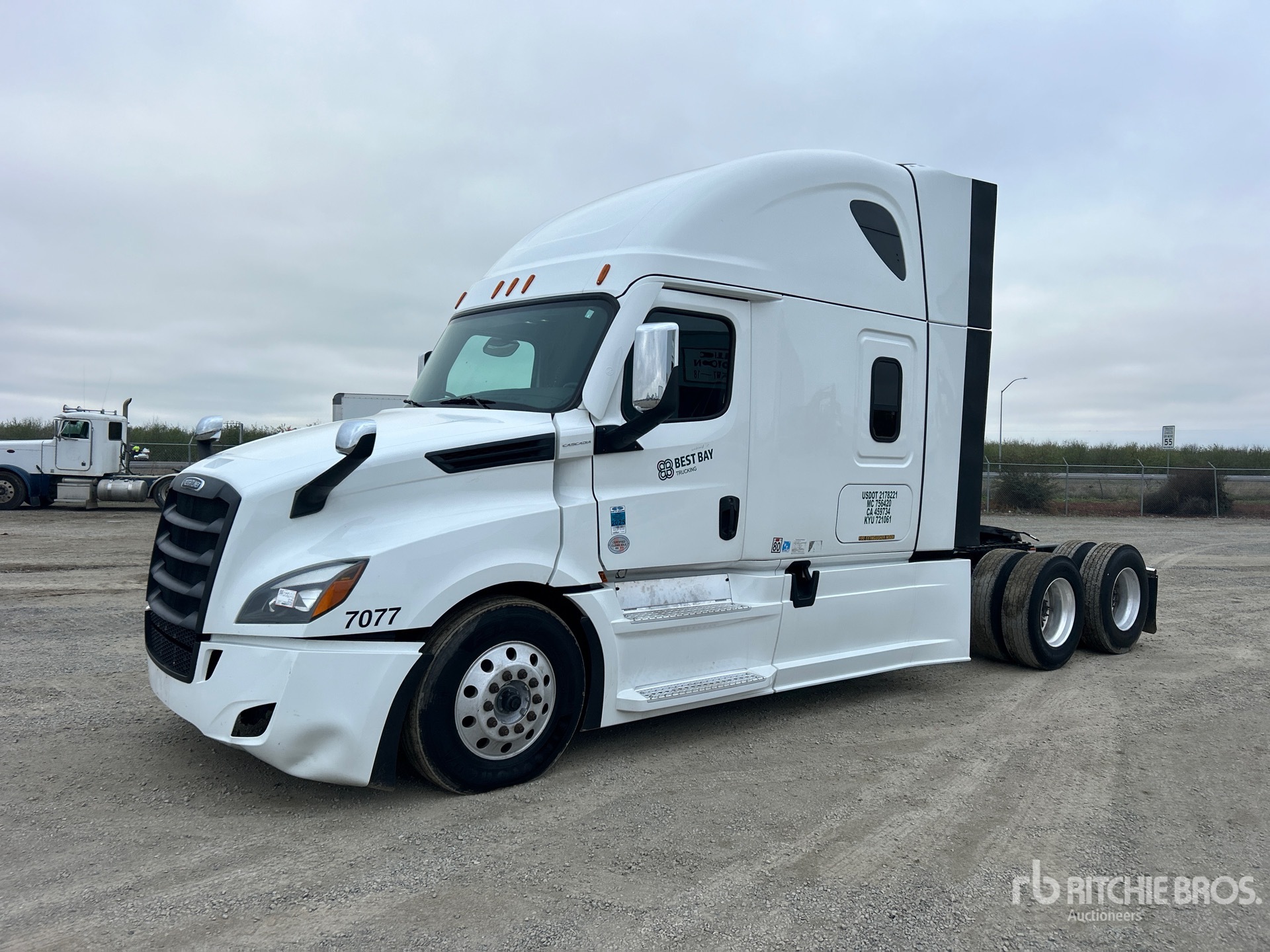 General Appearance with Spin