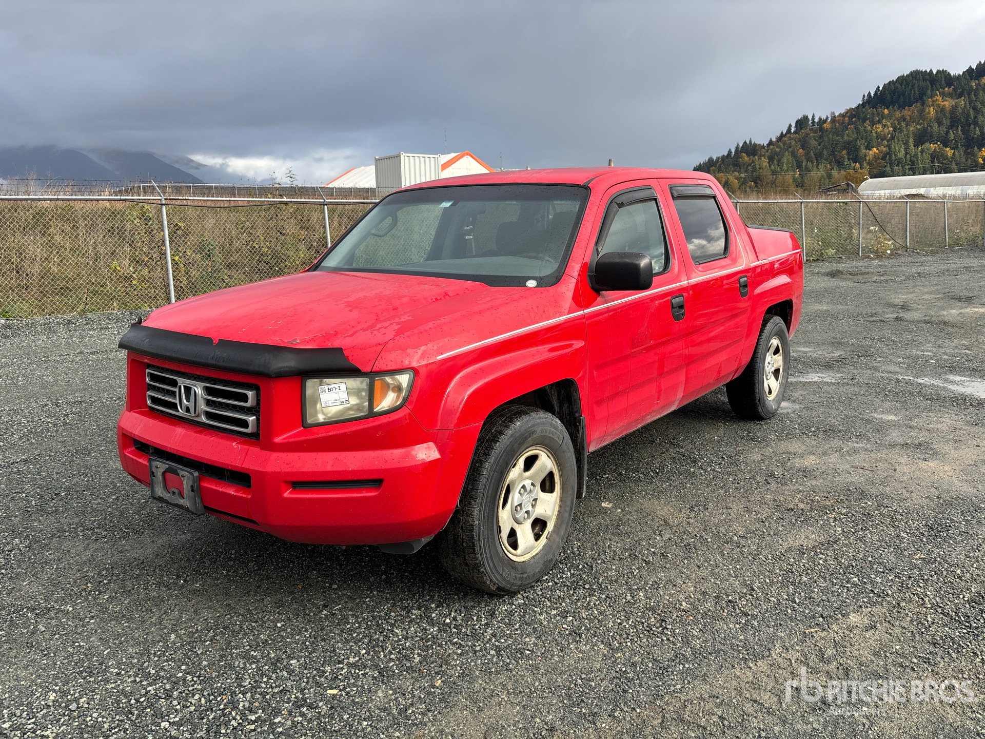 General Appearance with Spin