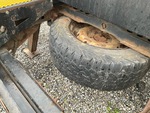 Underbody with 