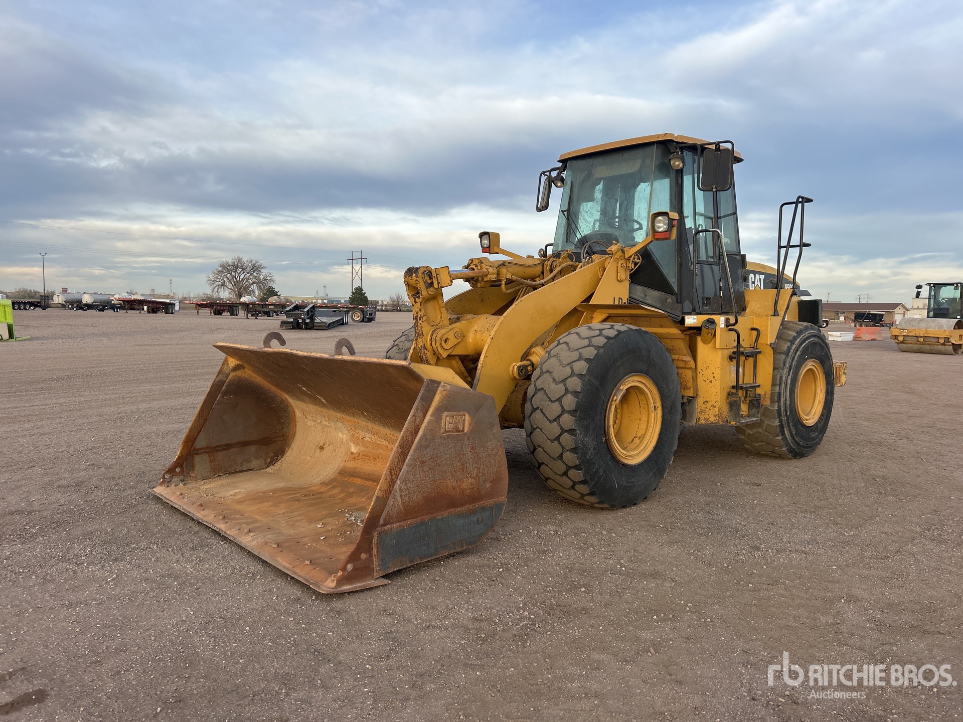 General Appearance with Spin