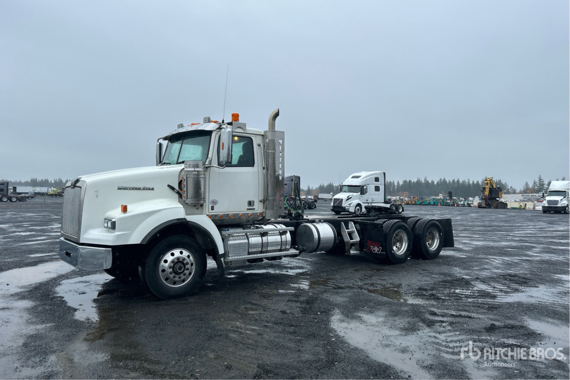 General Appearance with Spin