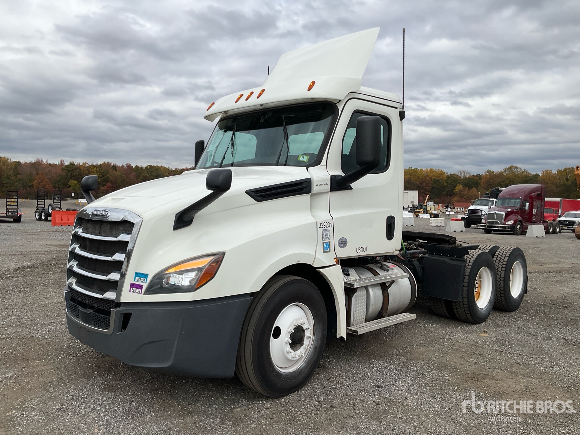 General Appearance with Spin