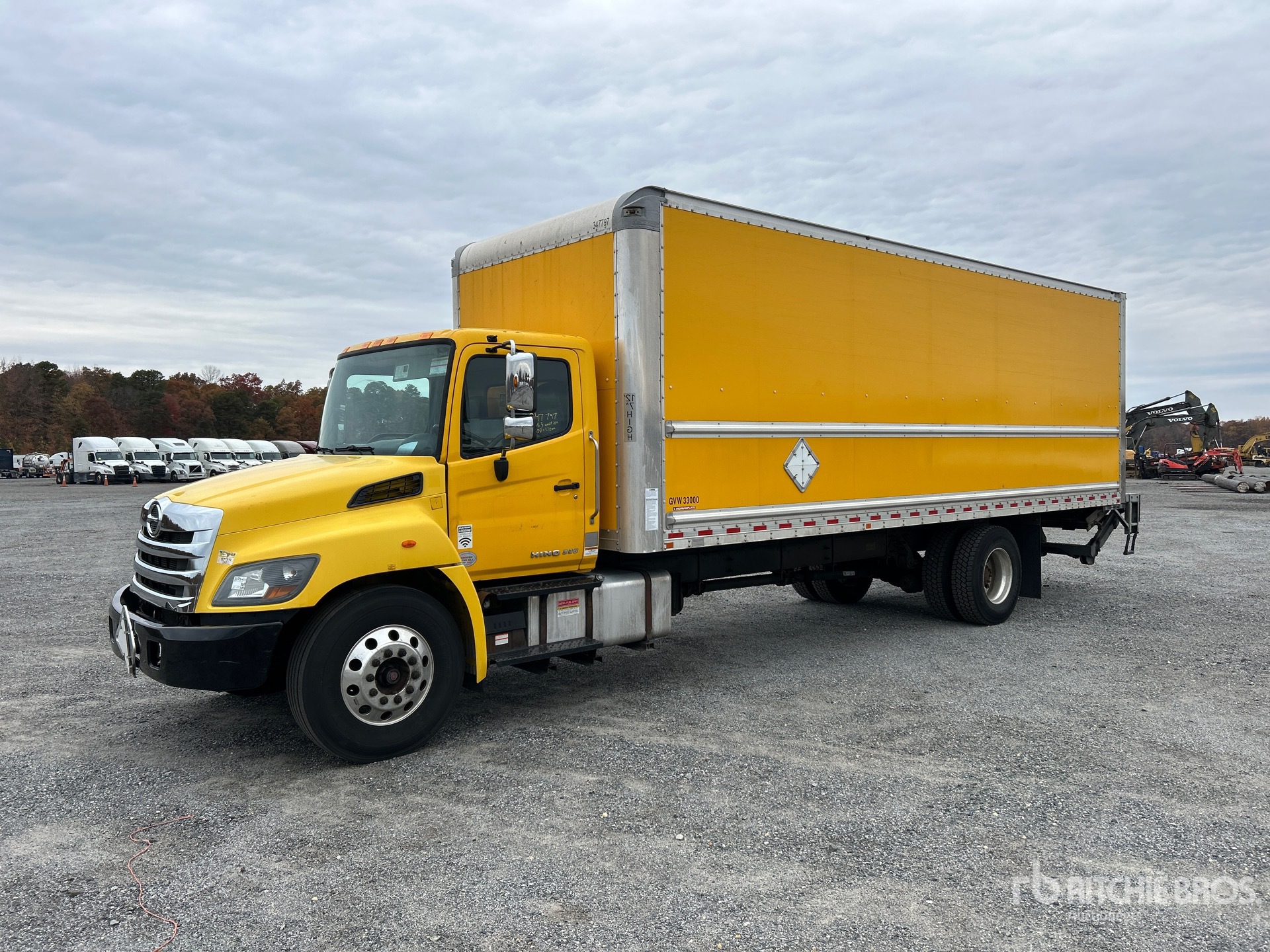 General Appearance with Spin