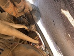 Underbody with 