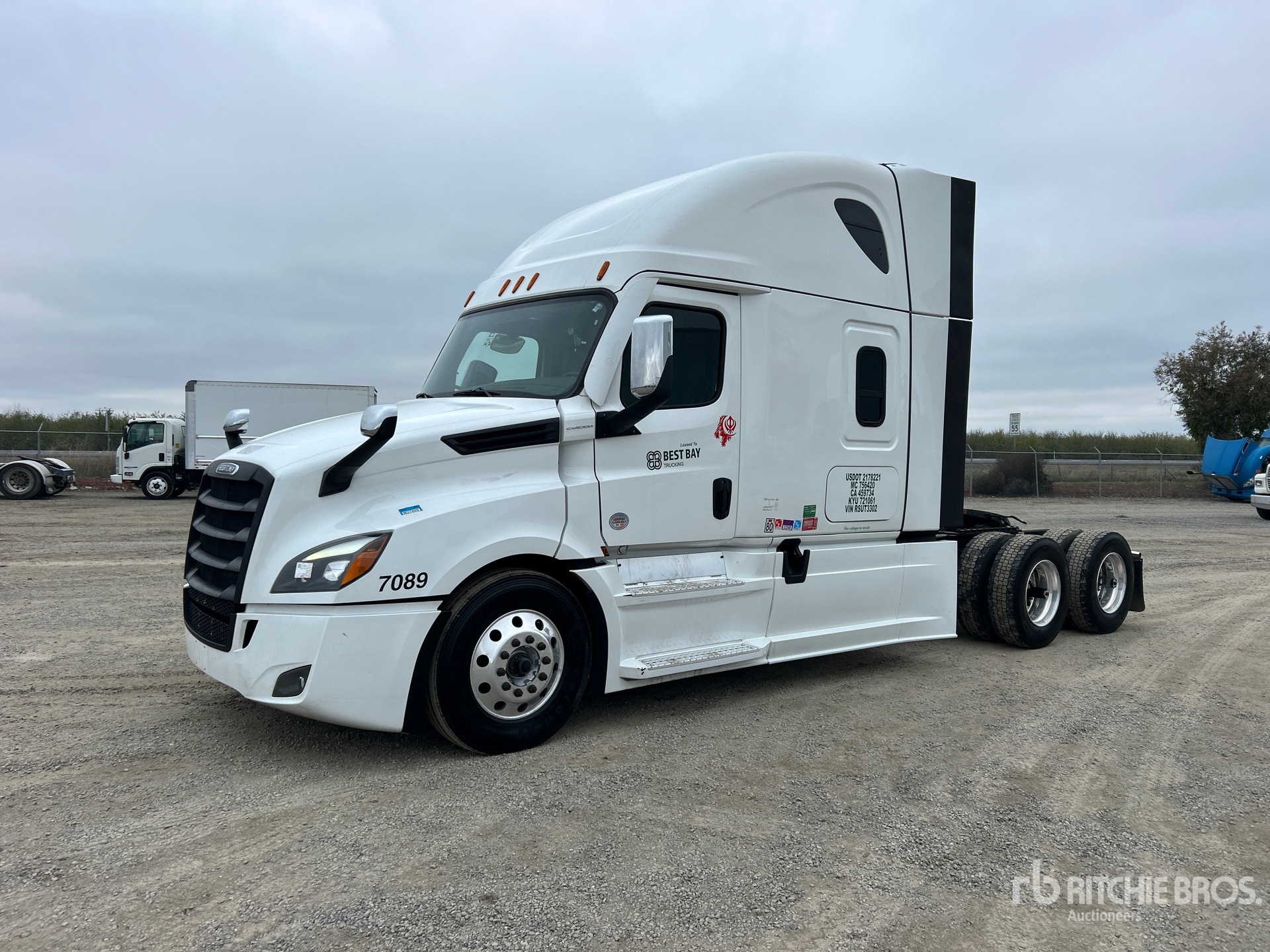 General Appearance with Spin