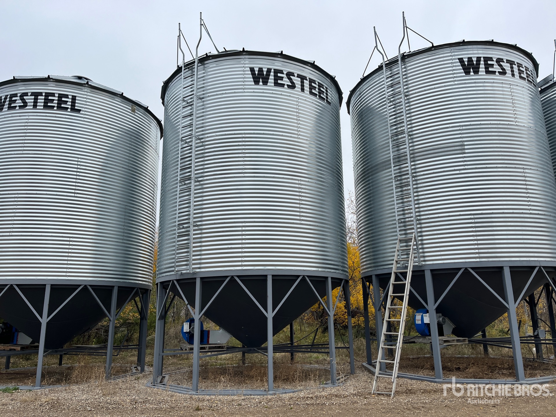 General Appearance with Foto, angolo anteriore sinistro