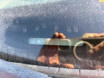 General Appearance with Second Serial Number/VIN Photo