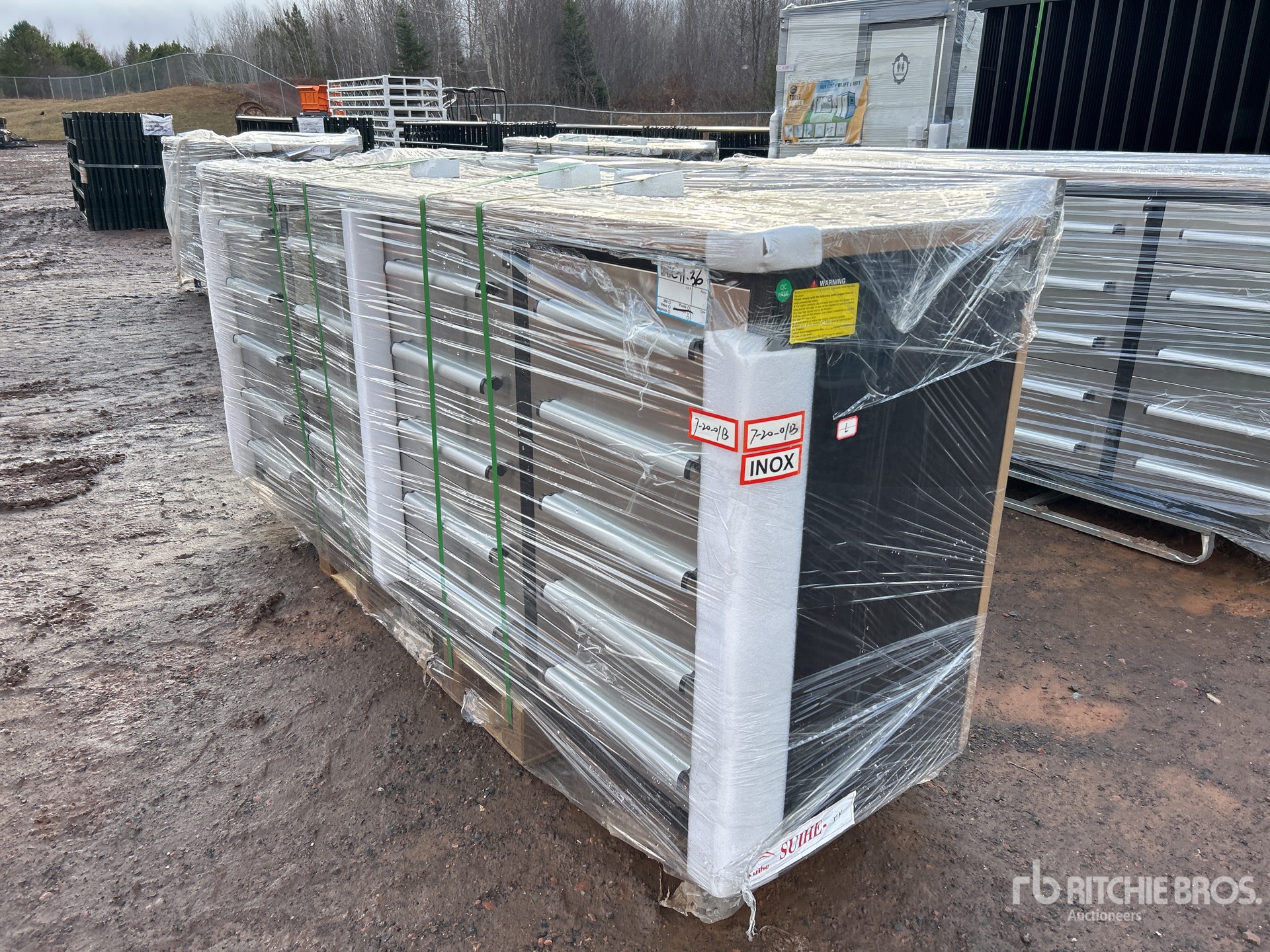 General Appearance with Picture, Left Front Corner